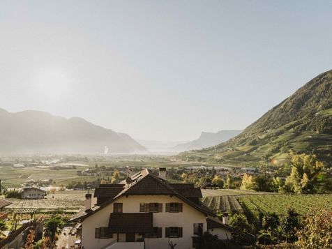 Suite "Vista" image 2