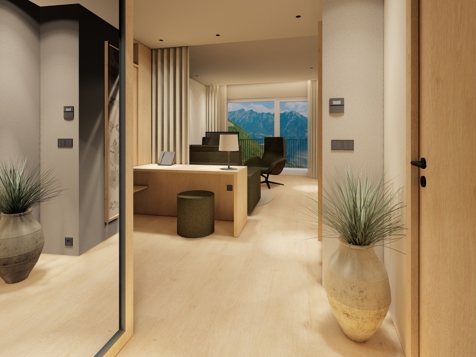 Sun Suite 50 sq.  image 4