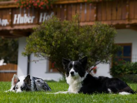 Appartements Huberhof - Mühlen in Taufers im Tauferer Ahrntal