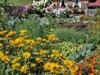 slider-farm-vacation-kronplatz.jpg
