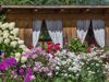 slider-so-farm-holidays-kronplatz.jpg