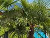 csm_Kreuzwegerhof_Blick-Wellnessgarten_8b81933931.jpg