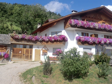 Lingerhof Ferienwohnungen - Urlaub auf dem Bauernhof - Mölten in Bozen und Umgebung