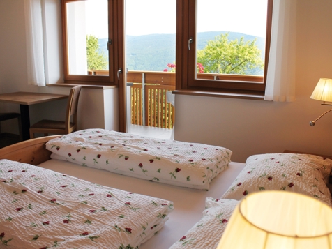 Appartements Maurerhof - Vintl im Eisacktal