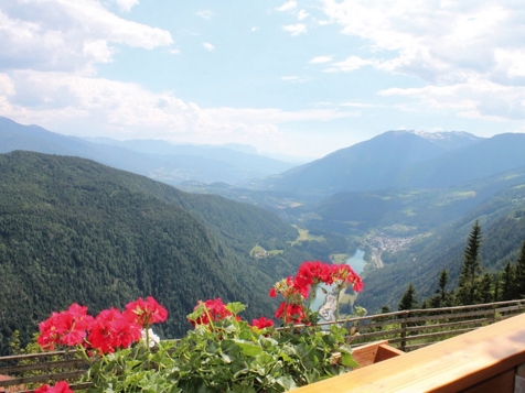 Appartements Maurerhof - Vintl im Eisacktal