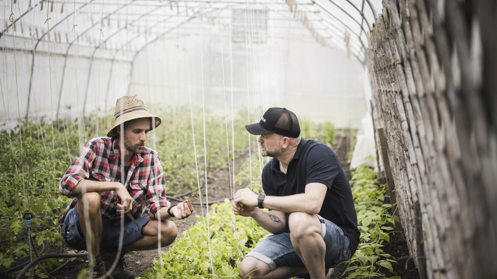 (C) Hannes Niederkofler_WEB-2555_72 dpi.jpg