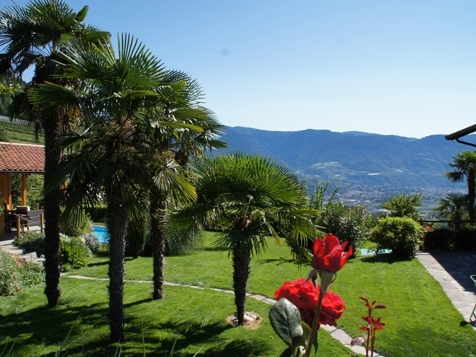 Garni Oberangerhof - Algund in Meran und Umgebung