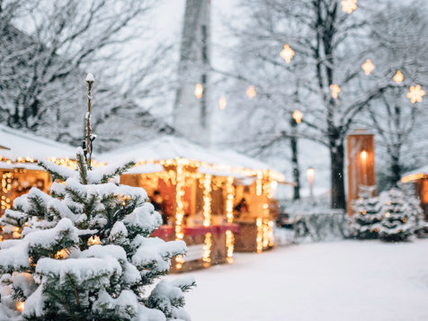 Obermaratscher Appartements - Algund in Meran und Umgebung