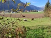 20241031_104140.jpg