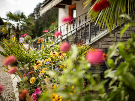 Residence Obermoarhof - Vintl in Eisacktal