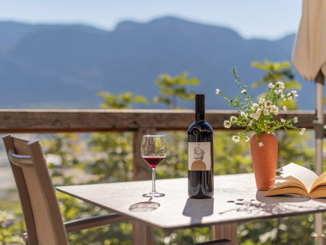 Frühstückspension & Appartements Panorama - Tramin an der Weinstraße in Southern South Tyrol