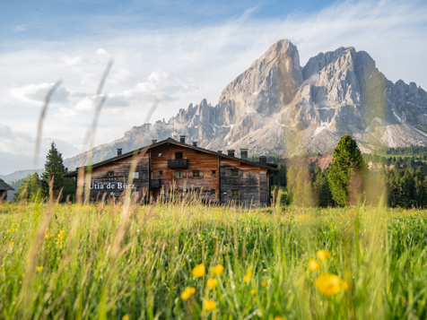 Mountain Lodge Ütia de Börz - San Martino in Badia a Plan de Corones