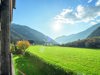 ┬®rotwild 1128.jpg