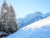 ©rotwild 3065.jpg