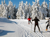 sci-fondo-anterselva.jpg