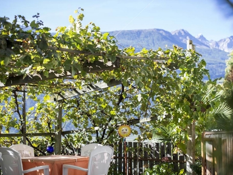Pension Sonnenberg - Schlanders im Vinschgau