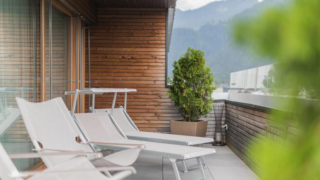 web-rendition-3 (3).jpg