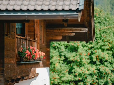Blumenresidence Karnutsch - St. Walburg im Ultental