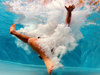 Riederhof-Indoorpool-02.jpg