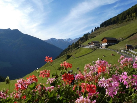 Roanerhof - Ahornach in Tauferer Ahrntal