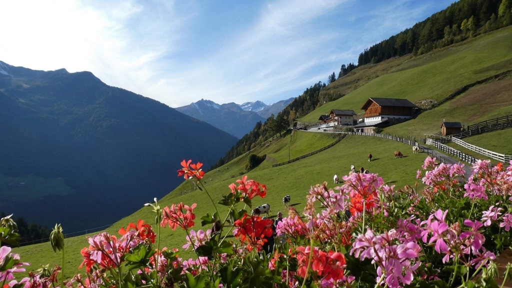 Roanerhof - Apartment / Residence in Ahornach in Tauferer Ahrntal / Zuid-Tirol