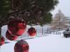 winterbilder-1.jpg