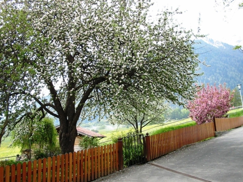 Haus Rufinatscha - Taufers in Münster in Vinschgau