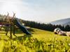 Speckerbild_Garten_16-9_5_00cfcadbac.jpg