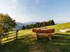 Speckerhof_Garten_16-9_6_8d443d91c0.jpg