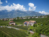 stoeckerhof_2022_01m.jpg
