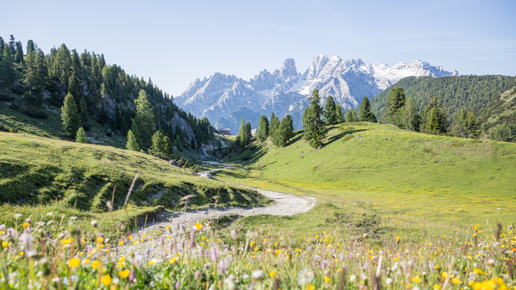 Platzwiese ©TV Gsieser Tal_Kamilla Photography (1) (1).jpg