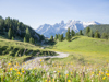 Platzwiese ©TV Gsieser Tal_Kamilla Photography (1) (1).jpg
