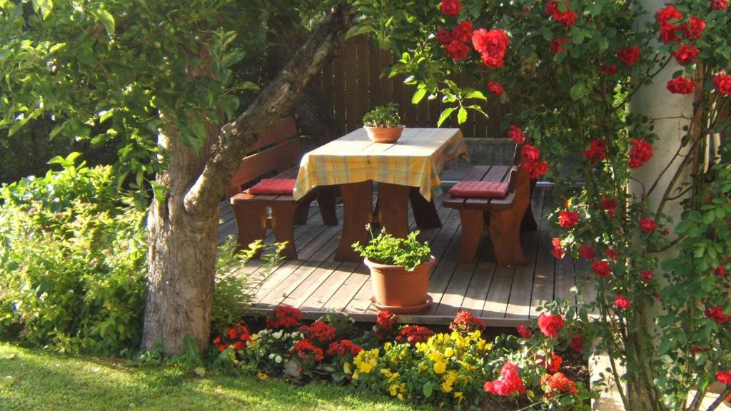 garten-3-2000x1500.jpg