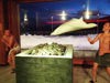 Tratterhof Sauna Shows