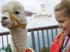 Lama & Alpaca Trekking at Tratterhof