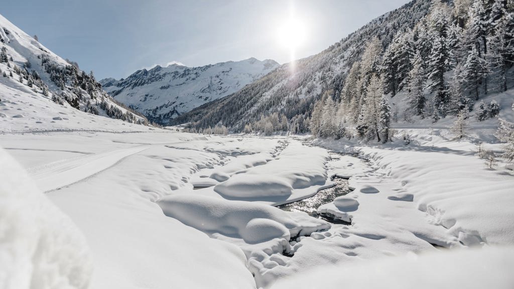 IDM Sudtirol-Alto AdigeBenjamin Pfitscher-min.jpg