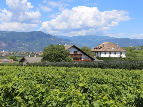 Ferienwohnungen Weisshauserhof - Eppan an der Weinstraße in Southern South Tyrol