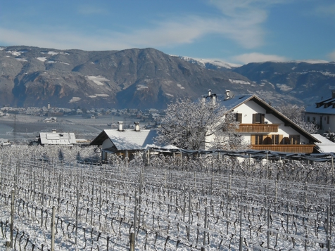 Ferienwohnungen Weisshauserhof - Eppan an der Weinstraße in Southern South Tyrol