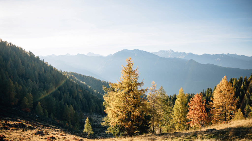 _bp_410111_c_benjamin_pfitscher.jpg