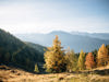 _bp_410111_c_benjamin_pfitscher.jpg