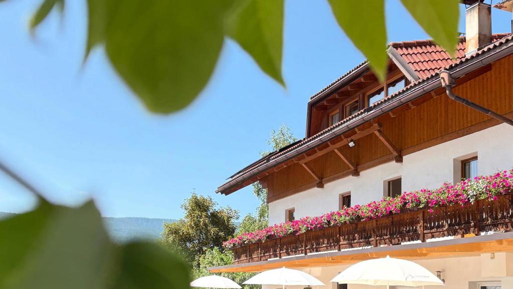 Pension Wirt am Bach - Guesthouse / Boarding house in Terenten at Mt. Kronplatz / Południowy Tyrol