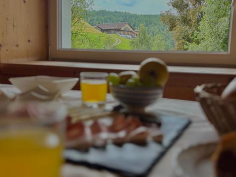 Pension Wirt am Bach - Terenten at Mt. Kronplatz
