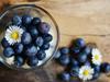 blueberries-2278921-1920.jpg