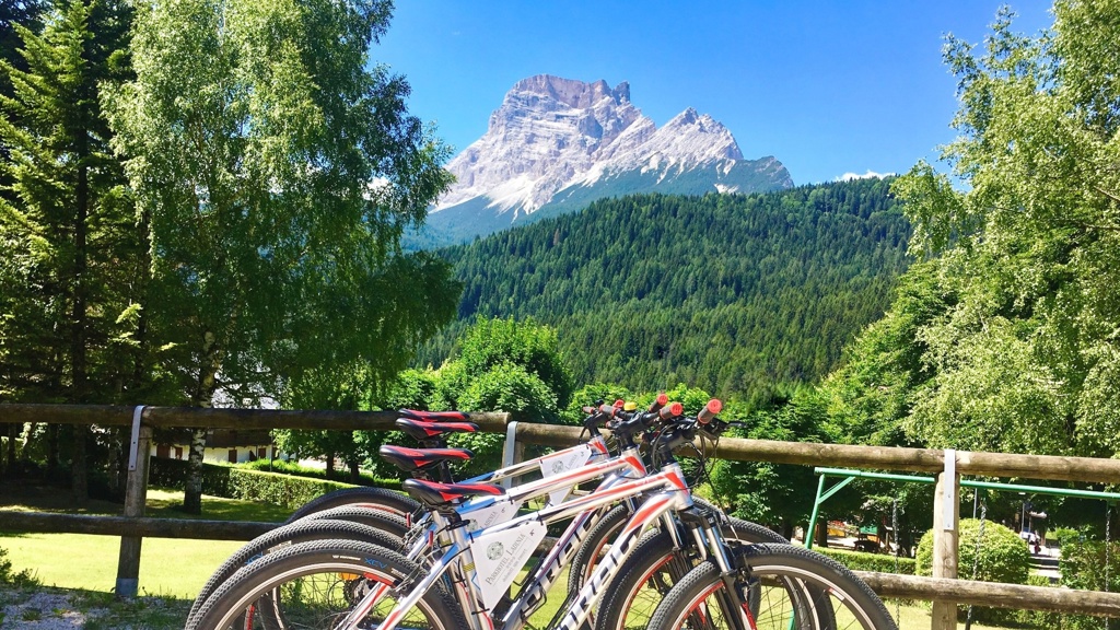 bici-intera.jpg.jpg