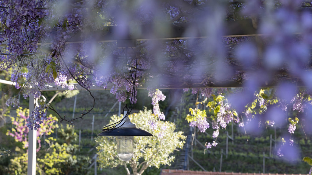 2023.04_Ladurnerhof-63.jpg