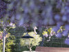 2023.04_Ladurnerhof-63.jpg