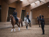 037_purmontes-reiten_©KOTTERSTEGER_250313_KOT_7380-2040.jpg