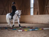110_purmontes-reiten_©KOTTERSTEGER_250313_KOT_0305-1627.jpg