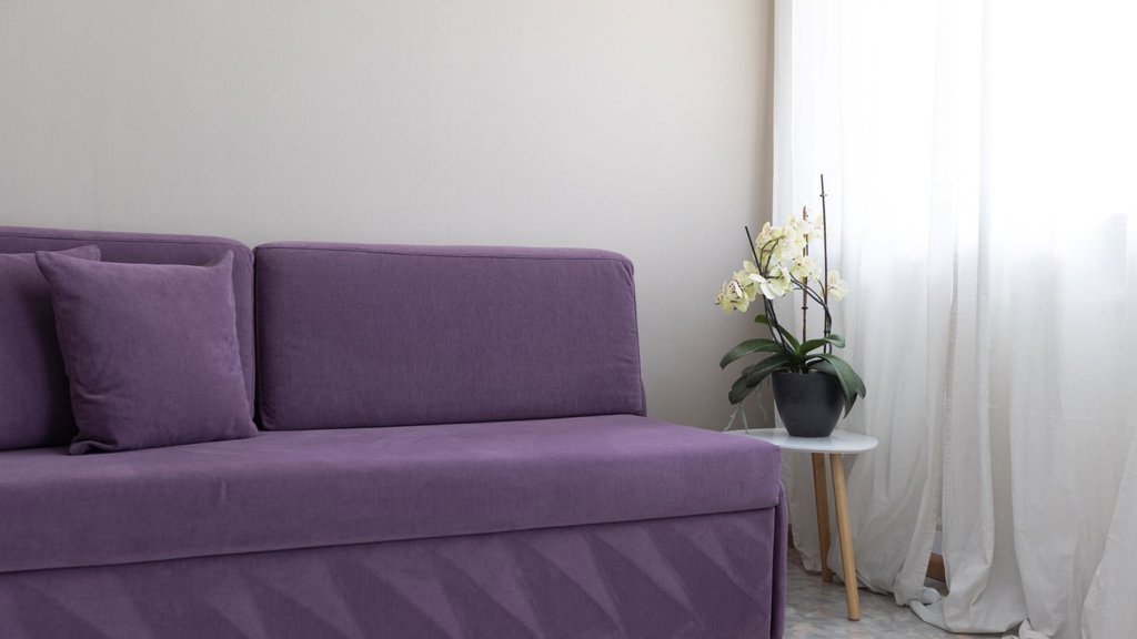 mss_renderimg (1444444444).jpg