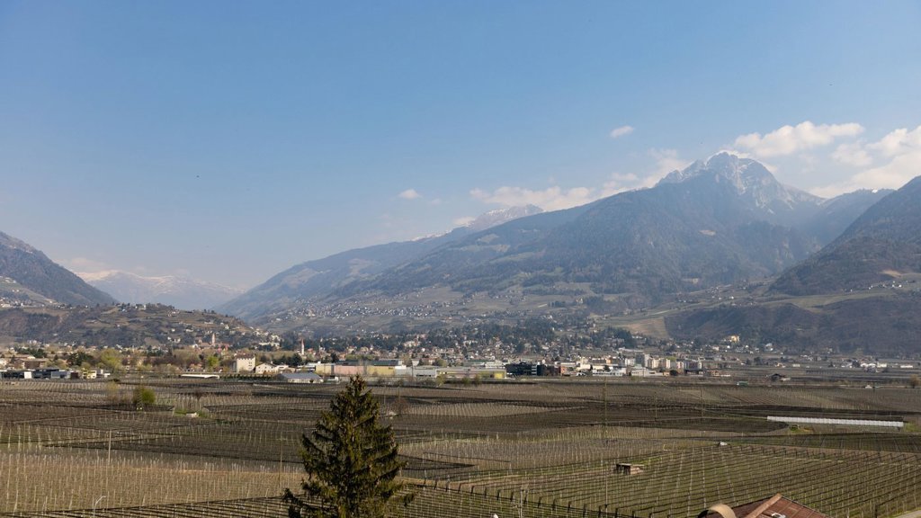 mss_renderimg (17).jpg